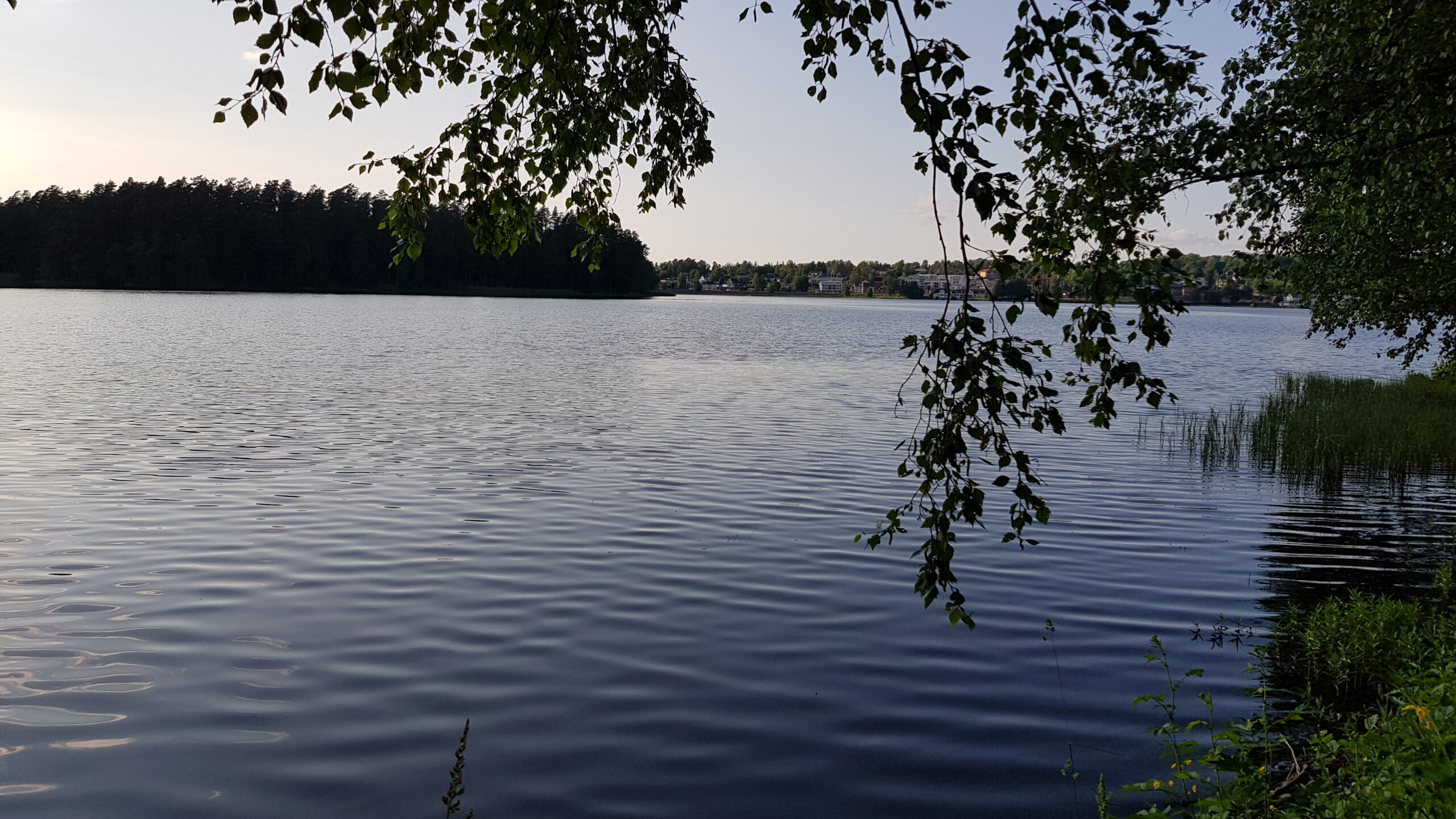 Utsikt över Mullsjön under kvällspromenad i juni.