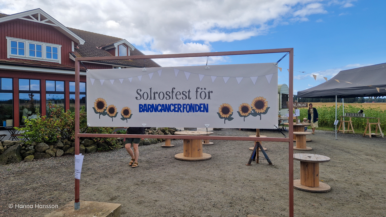 Solrosfest till förmån för Barncancerfonden