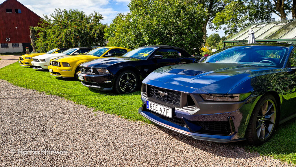 Fem Mustang-bilar parkerade i en trädgård