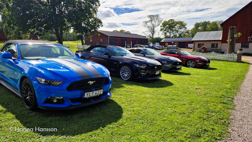 Fyra Mustang-bilar parkerade i en trädgård