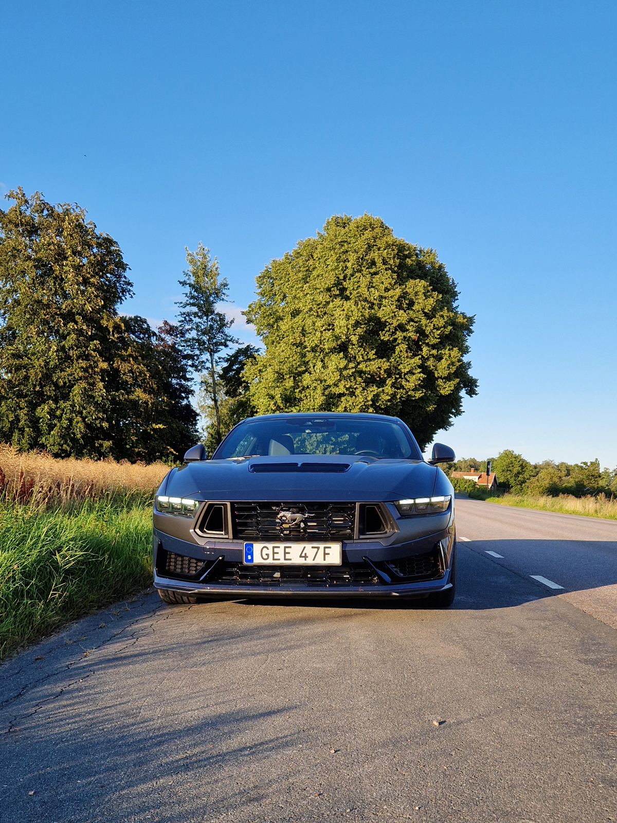 Mustang Dark Horse i Blue Ember parkerad vid väggrenen.