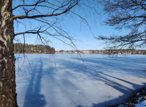 Vinterlandskap över Mullsjön